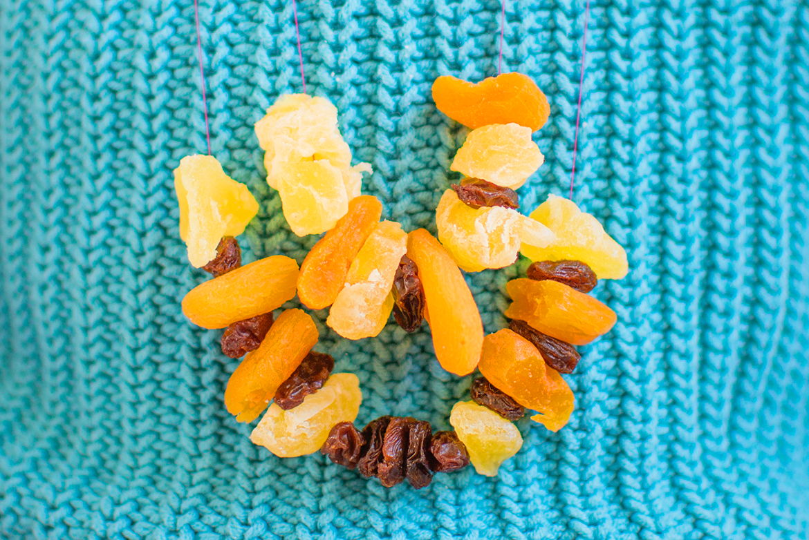 dried-fruit-necklace-raisins-and-apricots